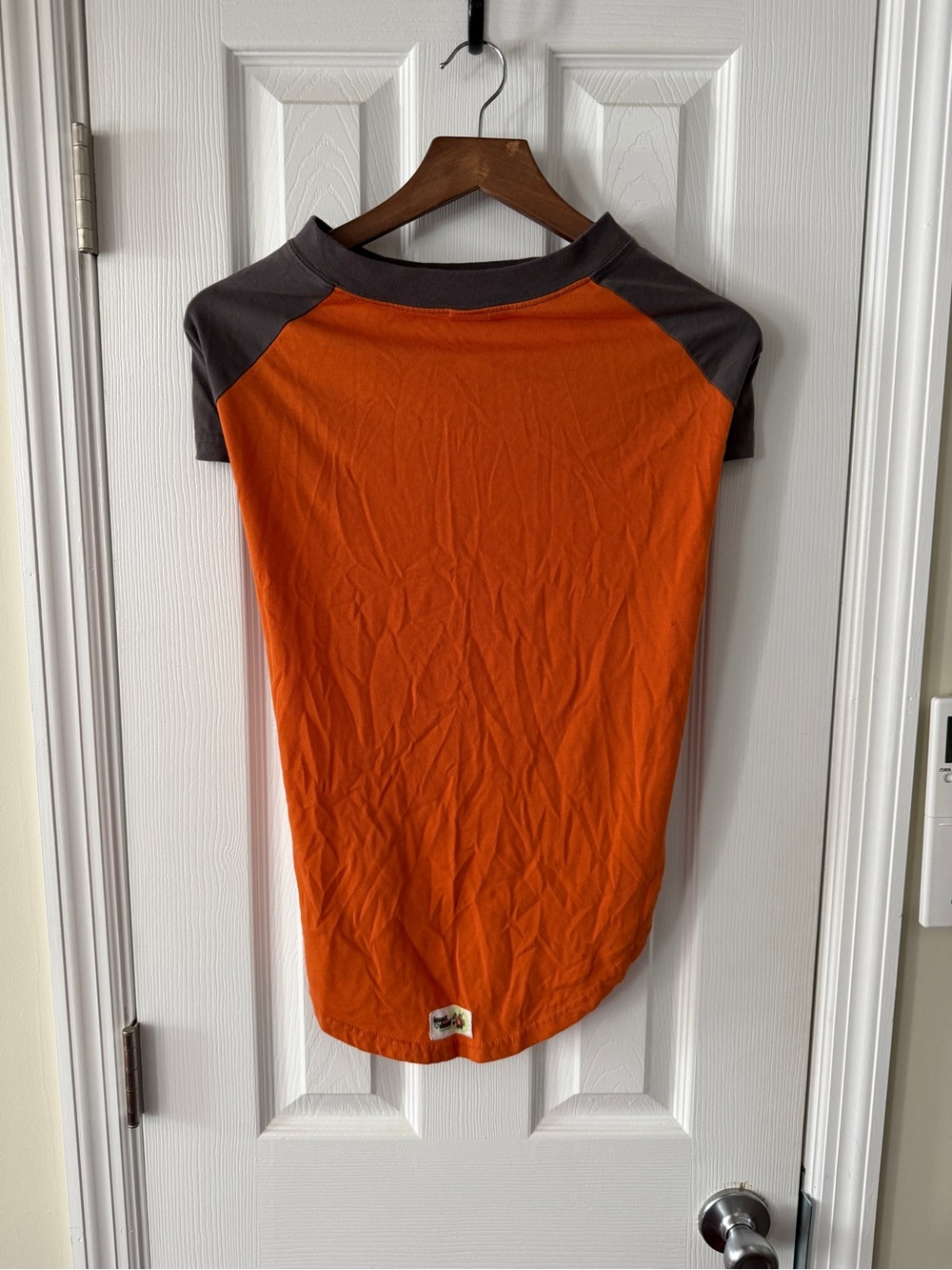 Orange & Gray Raglan Dog Tee - Lightweight Comfort